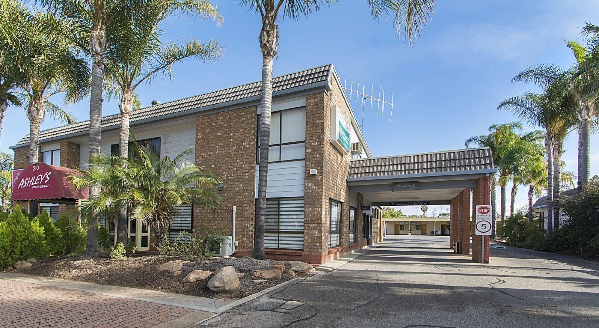 Citrus Valley Motel Renmark Buitenkant foto