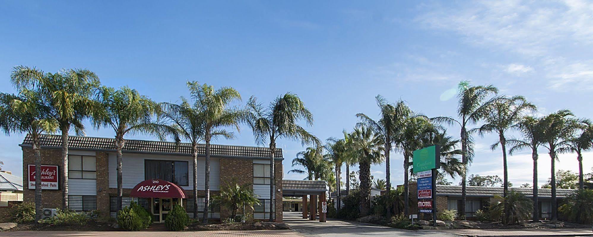Citrus Valley Motel Renmark Buitenkant foto